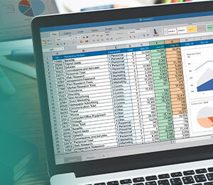 Professional Microsoft Excel for Accountants