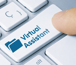 Professional Virtual Assistant